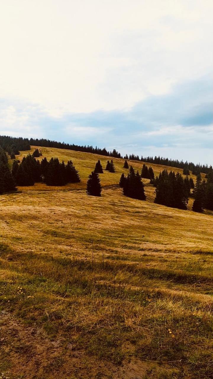 Dom Wypoczynkowy Pod Polanka Korbielów Exterior foto