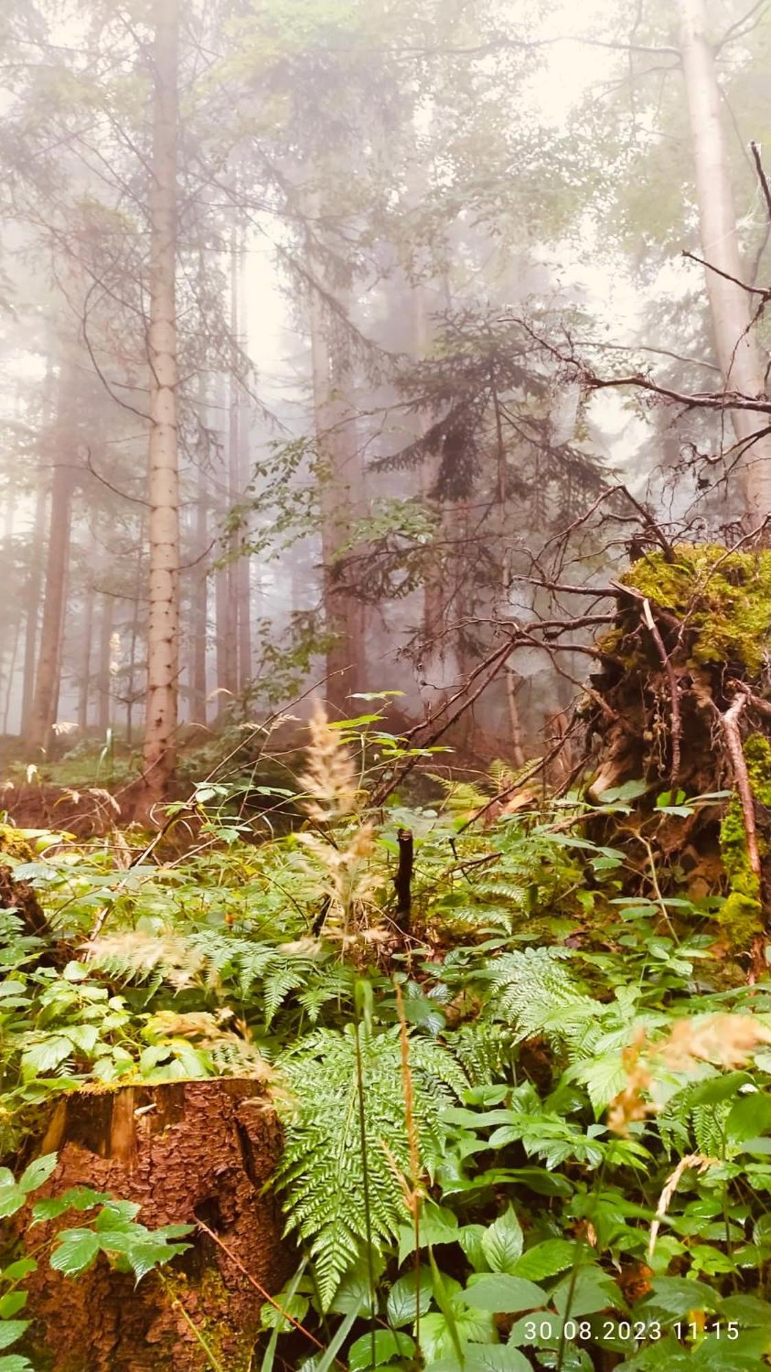 Dom Wypoczynkowy Pod Polanka Korbielów Exterior foto